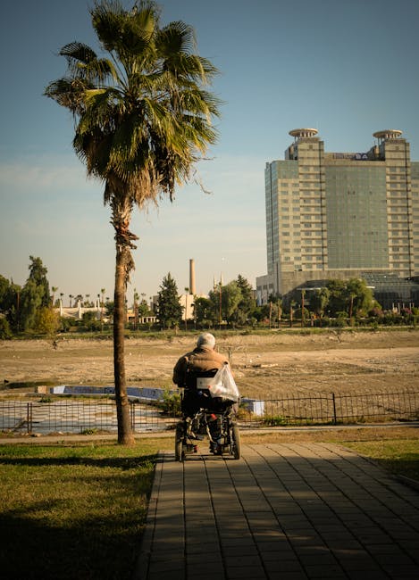 A person in a wheelchair is seated outdoors on a paved walkway in front of a large palm tree. The individual is facing away from the camera, with their back visible, and appears to be observing the urban landscape ahead. Behind them, there's a low metal fence bordering a water feature or pond, with some greenery and trees surrounding it. In the background, a tall modern building with a distinctive stepped design and multiple windows dominates the skyline, while smaller trees and industrial structures are also visible across the open, flat area. The scene is lit with natural daylight, suggesting a clear day, and the environment resembles a park or public space within a city area, relevant for house removals and moving services focused on urban or residential relocation in Raynes Park SW20 or similar locations. Merton Man and Van provides professional removals and packing assistance in this context, supporting customers with home relocations, including navigating tight-access environments.